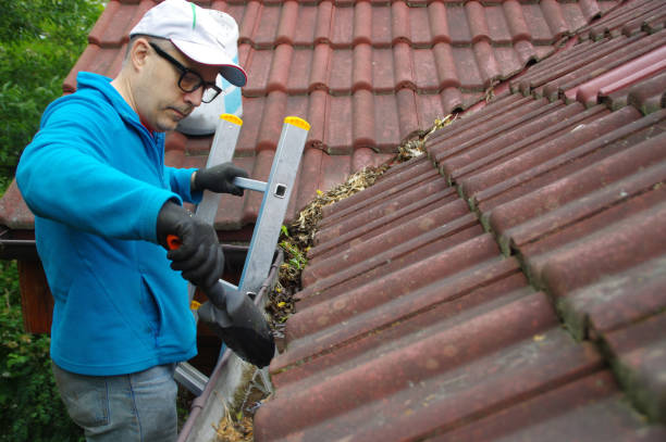Local Roof Cleaning and Gutter Cleaning